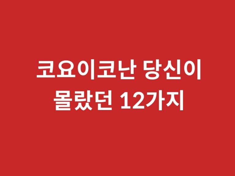 코요이코난 당신이 몰랐던 12가지 사실과 추천작품 품번