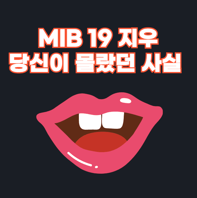 MIB 19 지우
