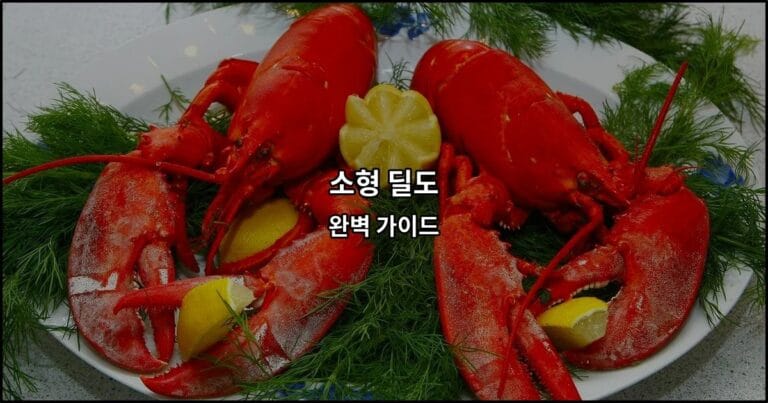 소형 딜도 – 블로그 포스트