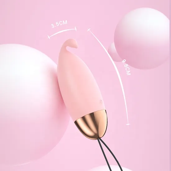 알약형 진동기 관련 이미지 2