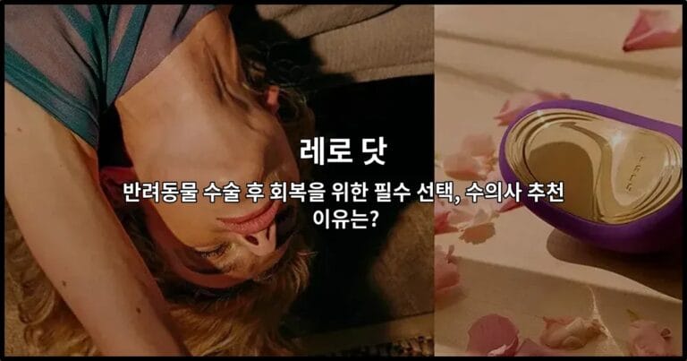 반려동물 수술 후 회복을 돕는 레로 닷 제품과 수의사 추천 이유를 소개하는 썸네일 이미지